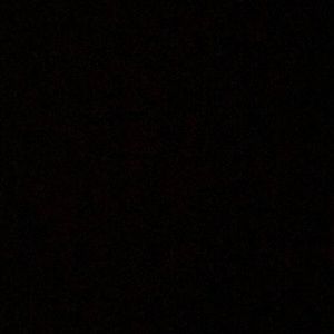 Meet your Posher, Dasha